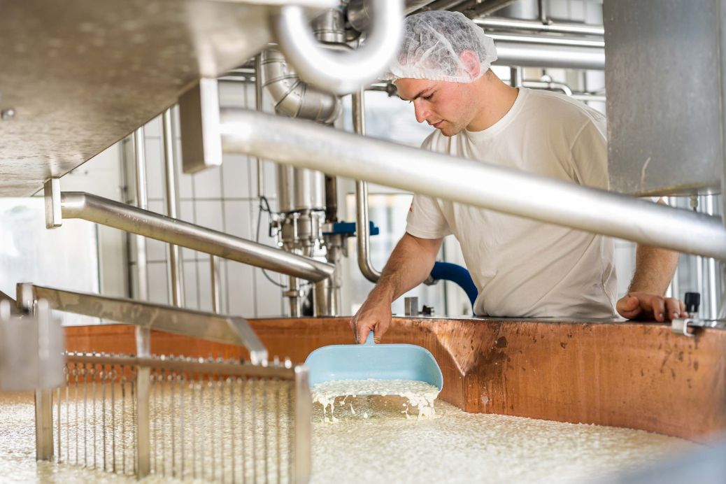 Swiss CheesesDiscover the World's Best Cheeses