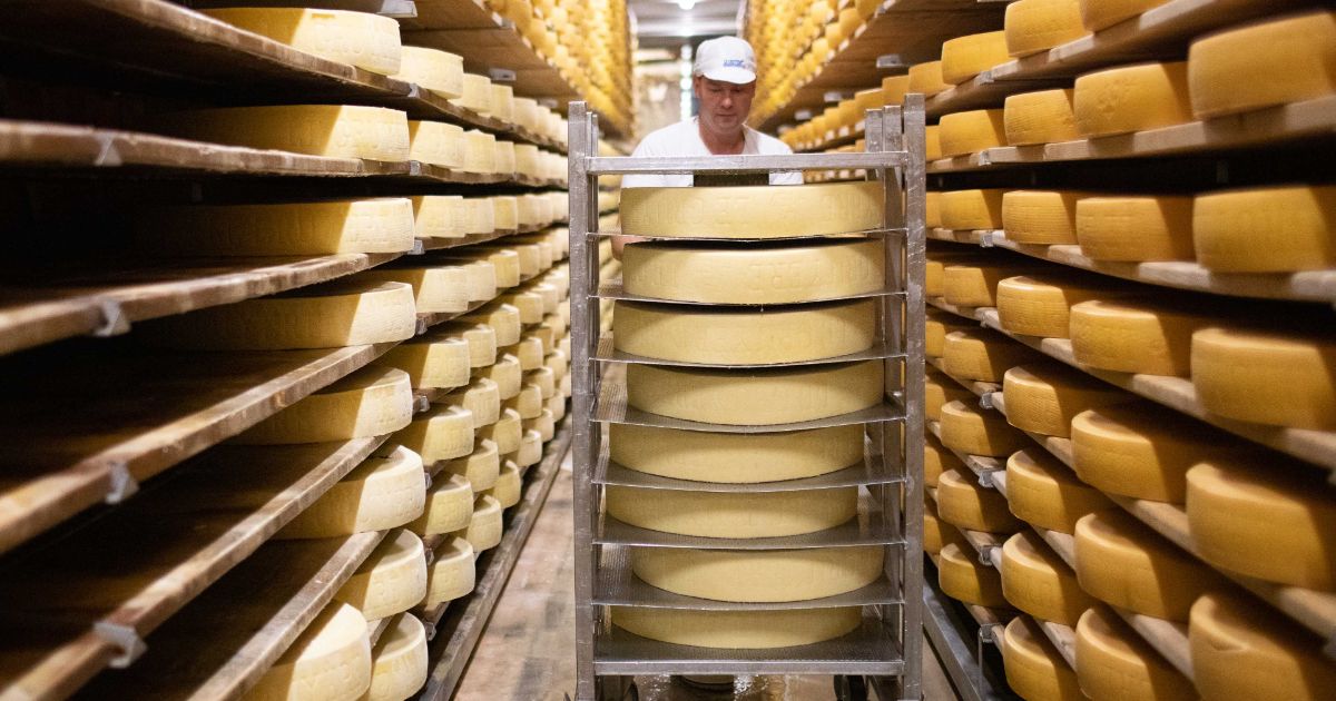 About Us Swiss Cheese Marketing