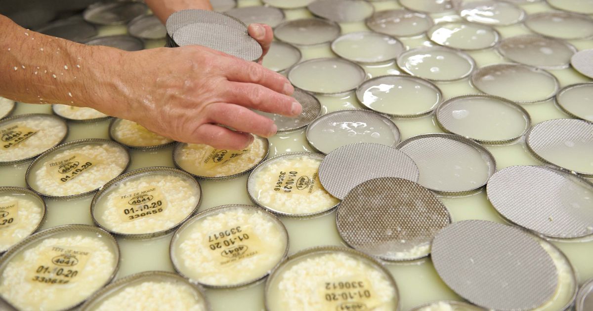 Swiss Cheese, a Natural ProductSwiss Cheeses