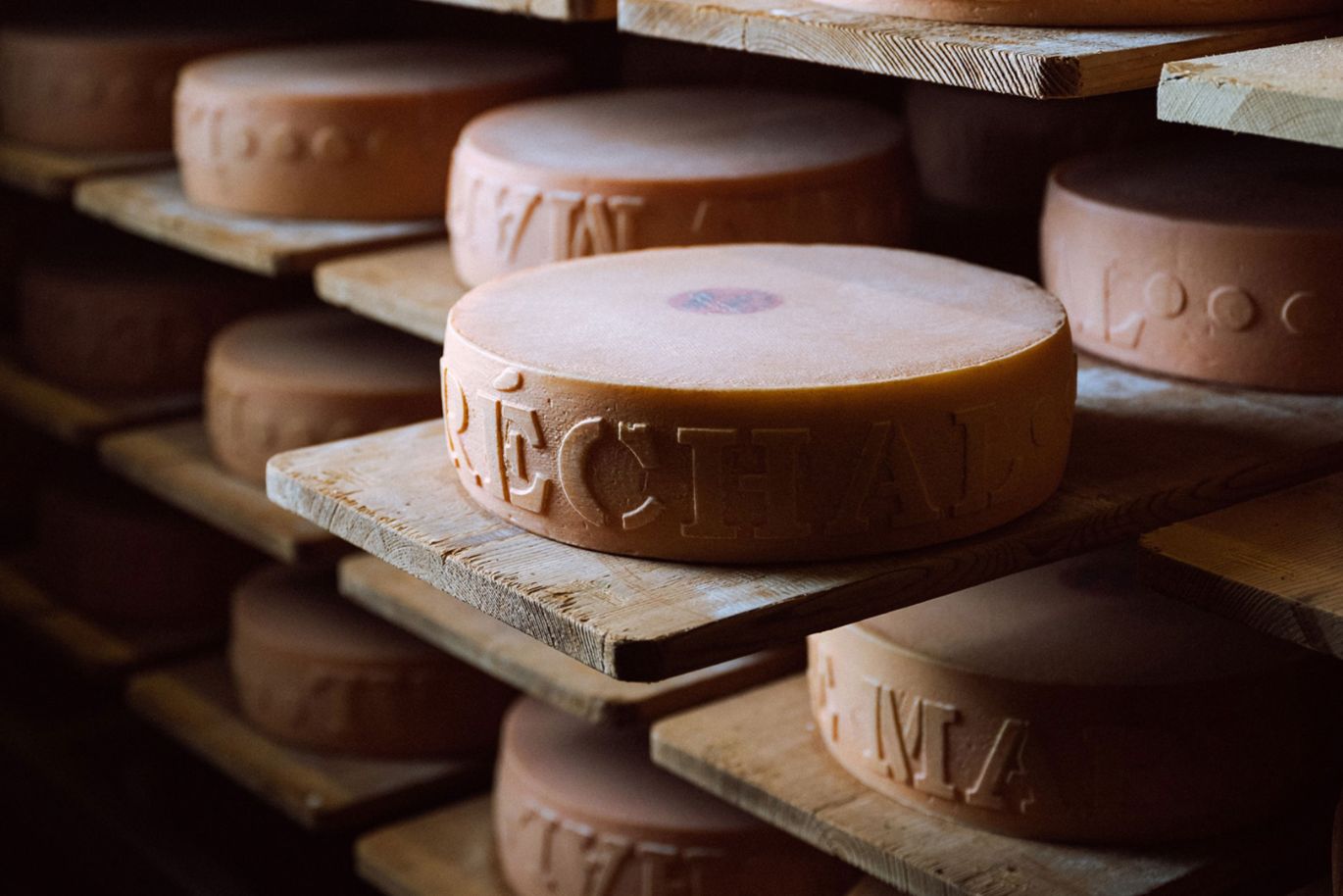 Hard CheesesSwiss Cheese Types