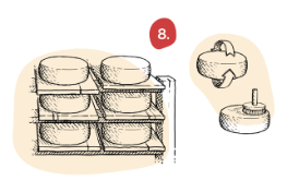 E8_Fromages_Cheeses_Suisse_Maturation_affinage