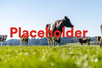 placeholder-teaser-m