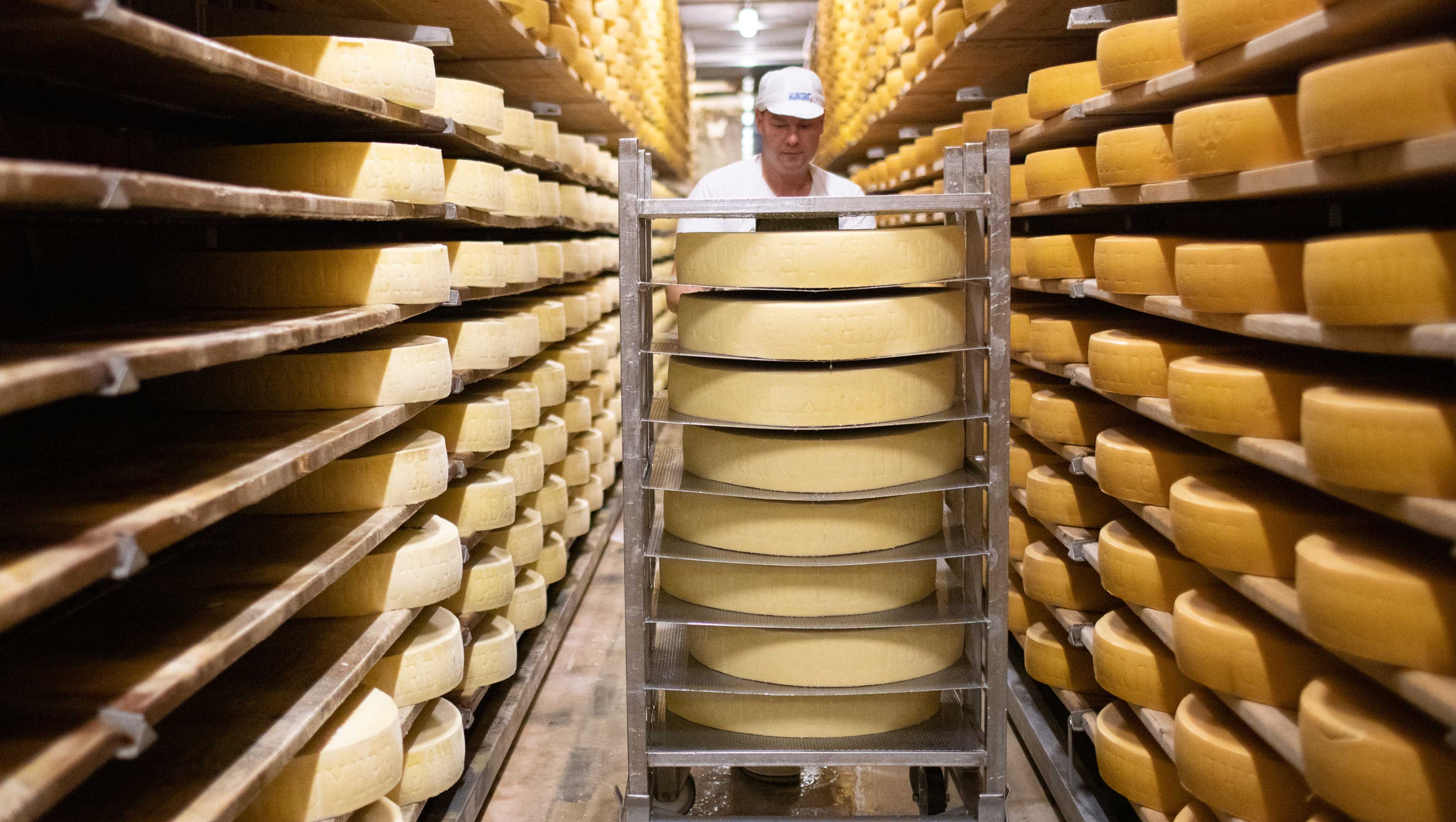 About Us Swiss Cheese Marketing