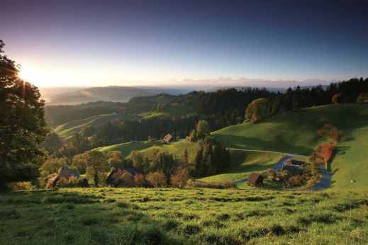 Fromages_Cheeses_Suisse_Pays_Entete_1