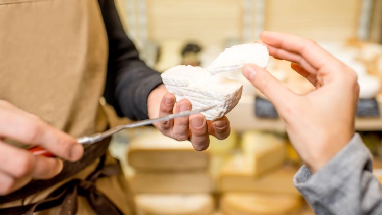 Stage-simple-fromageries-de-degustation