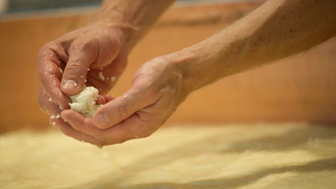 Fromages_Cheeses_Suisse_Carrousel_Appenzeller_2