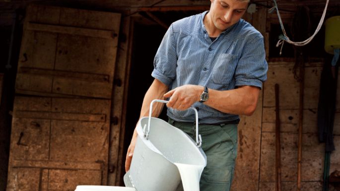 Fromages_Cheeses_Suisse_Certification_3