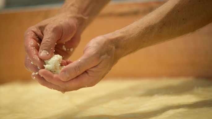 Fromages_Cheeses_Suisse_Carrousel_Appenzeller_2