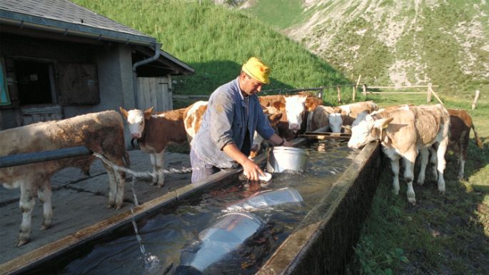 Fromages_Cheeses_Suisse_Carrousel_Raclette_2